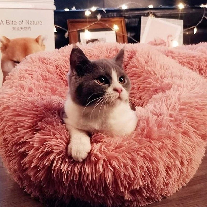 otoez Kitten Puppy Bed Extra Small XS Round Dog Cat Beds Anti Anxiety Plush Pet Calming Donut Bed with Non-Slip Waterproof Bottom, Washable (15.7", Pink) - Image 5